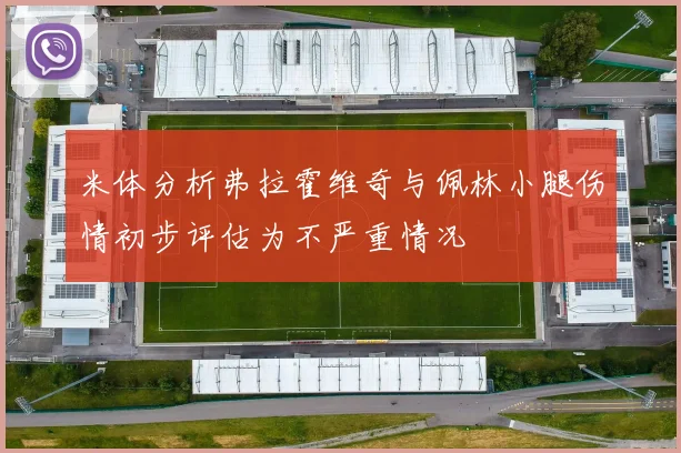 米体分析弗拉霍维奇与佩林小腿伤情初步评估为不严重情况